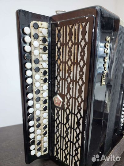 Баян Тула 202