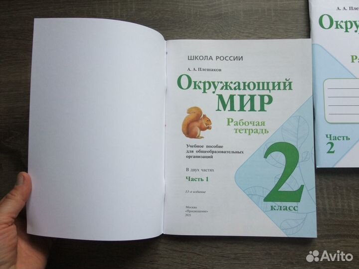 Плешаков Окружающий мир 2 класс Рабочая тетрадь