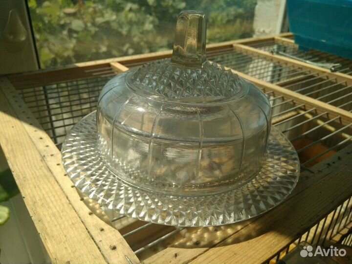 Маслёнка/ Паштетница СССР