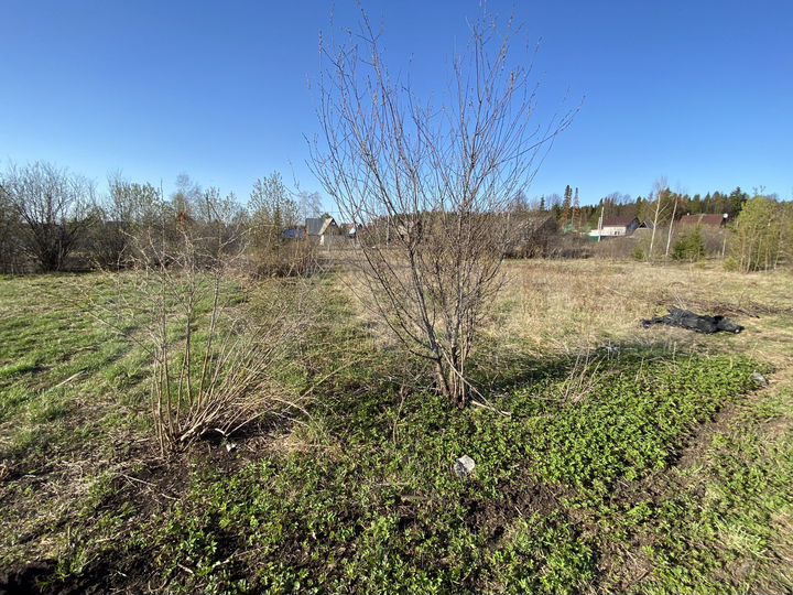 Участок 6,2 сот. (СНТ, ДНП)