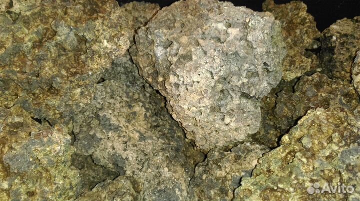 Аквариумы. Фильтры. Грунты. Декорации. 