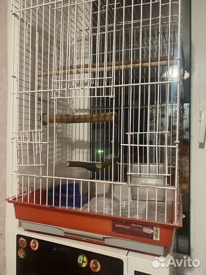 Клетка для попугая бу