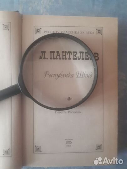 Республика шкид