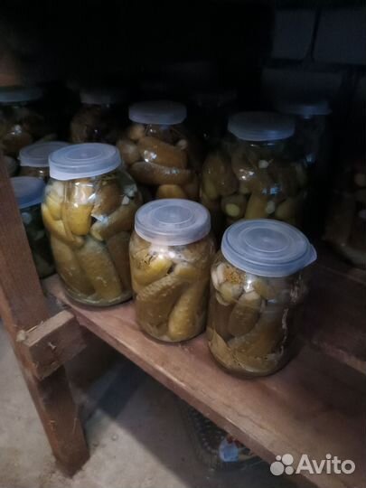 Огурцы,помидоры и тыквы со своего огорода