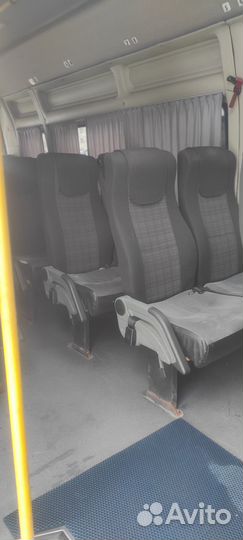 Пассажирские перевозки, развозка сотрудников