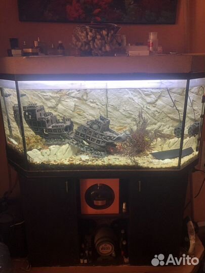 Аквариум