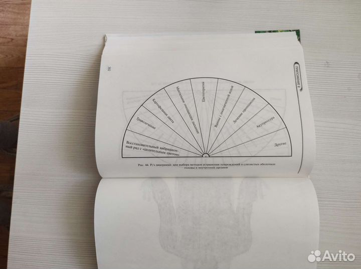 Многомерная медицина Л.Г.Пучко