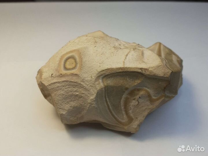 Камень рыбка