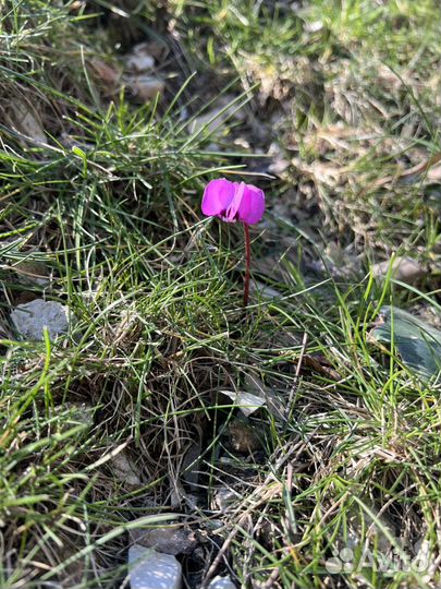 Поход на водопад