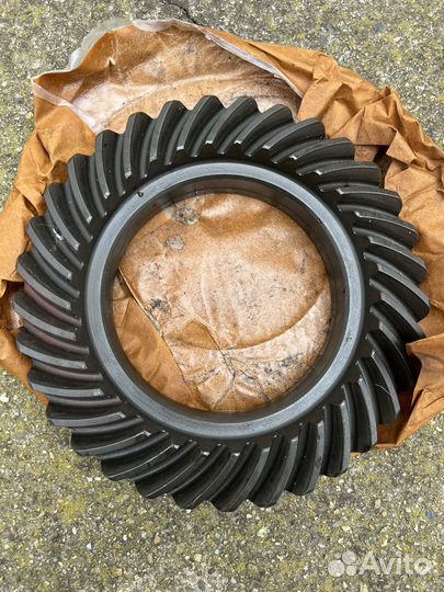 Пара лапландер