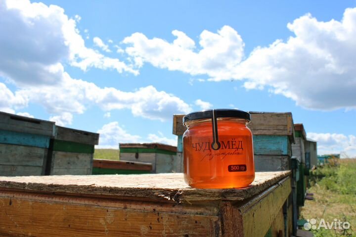 Мёд оптом - своя пасека, липовый - 7кг