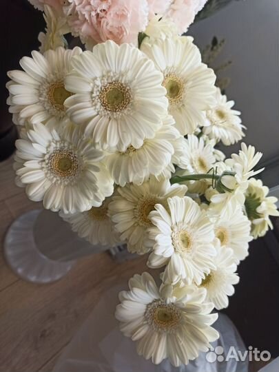 Цветы оптом Голландия