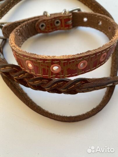 Поводок для собак