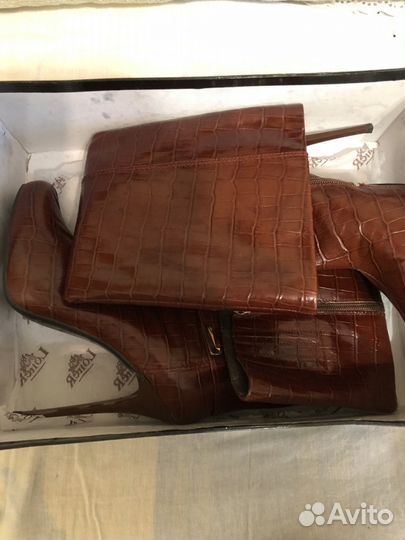 Сапоги осень