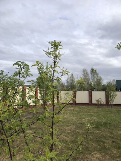 Участок 18 сот. (СНТ, ДНП)