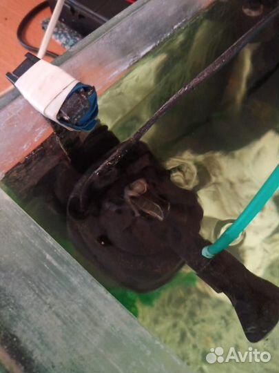 Продаётся аквариум с рыбками, 140 литров