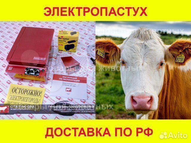 Электропастух электроизгородь