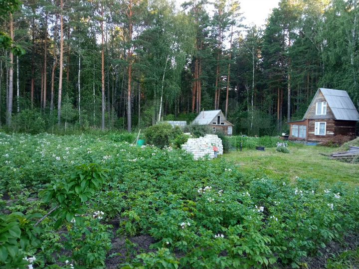 Участок 14 сот. (СНТ, ДНП)