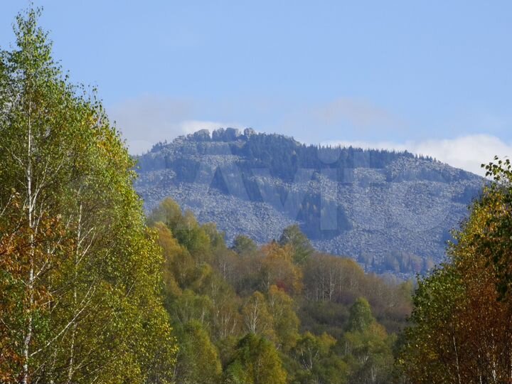 Участок 40 га (СНТ, ДНП)