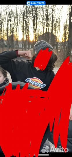 Худи толстовка dickies
