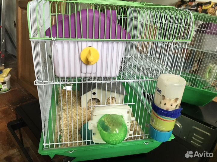 Клетка для сирийского хомяка