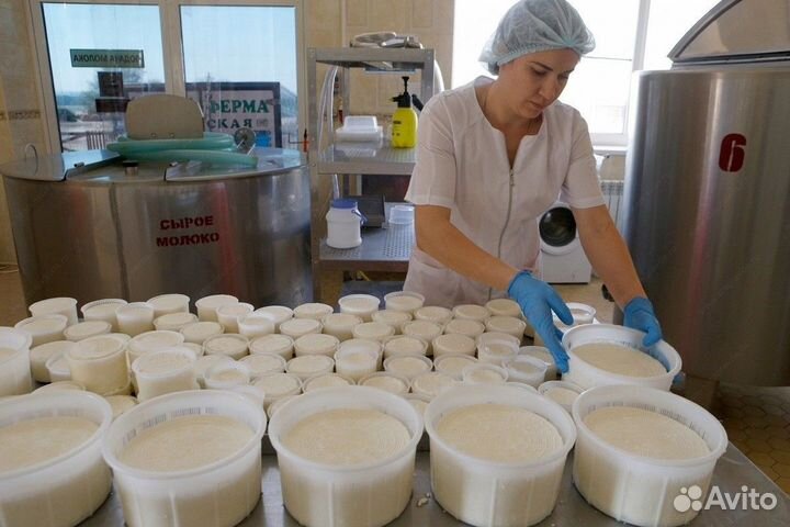 Разнорабочие оплата ежедневно (маслозавод)