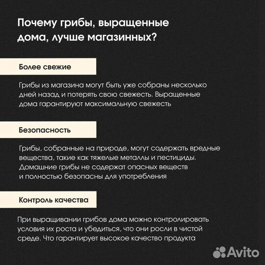 Набор для выращивания шампиньонов. Грибница