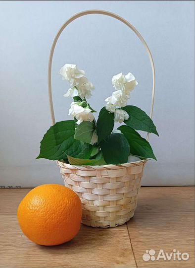 Корзиночка маленькая и корзинка ссср/декор,кашпо