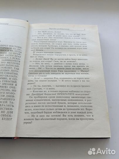 Кристофер Сташефф Чародей разбушевался