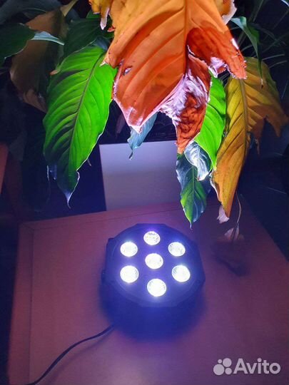 Rgbw Led par 7x12w DMX Светомузыка. Заливка