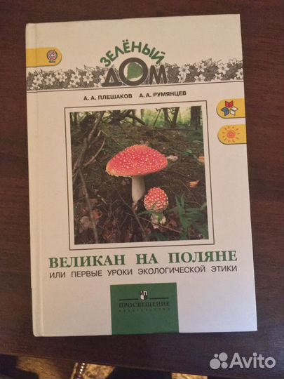 Великан на поляне или первые уроки Экологической э