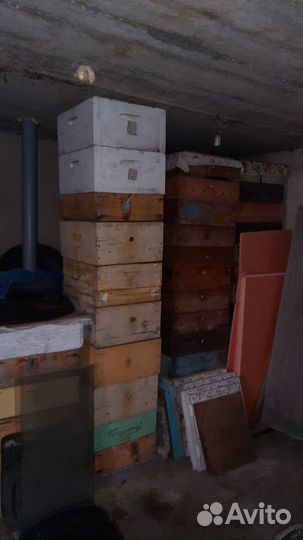 Продам пасеку