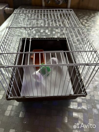 Клетка для грызунов