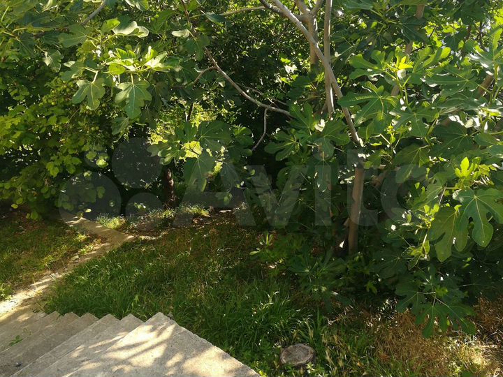 Дом 100 м² на участке 7 сот.