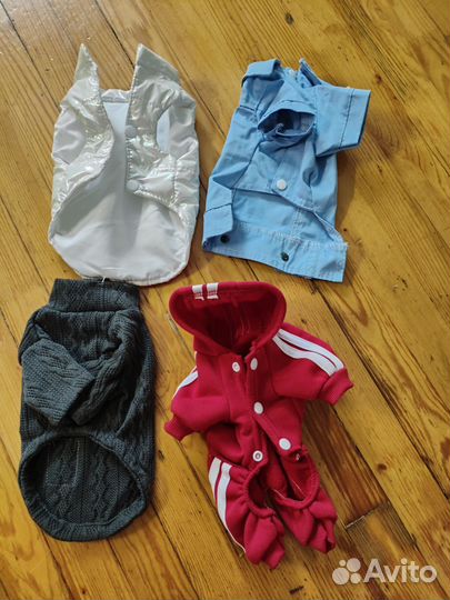 Одежда для маленьких собак