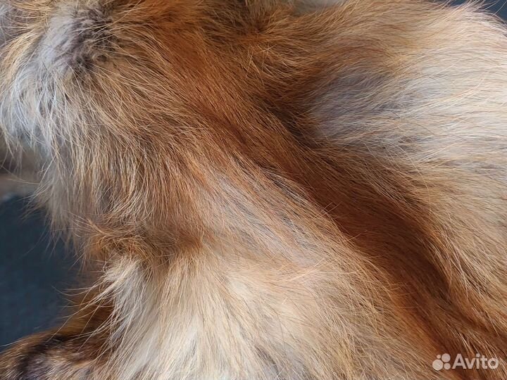 Меховой воротник лиса, хорь