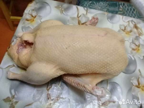 Мясо утки Мулард