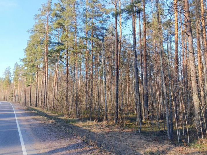 Участок 4,4 га (СНТ, ДНП)