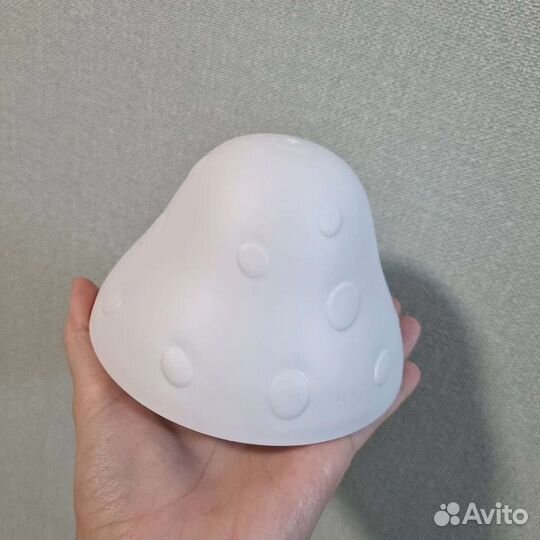 Коврик, кальций витамины, укрытие для рептилий