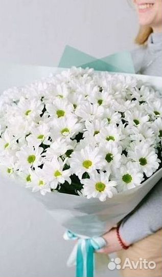 Хризантема Доставка цветов