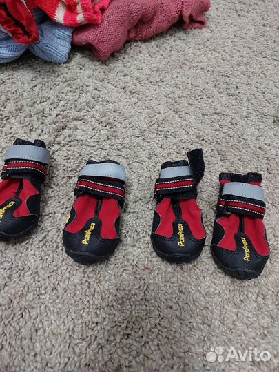 Сапожки для собак