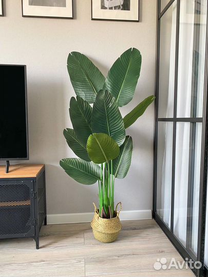 Искусственная банановая пальма