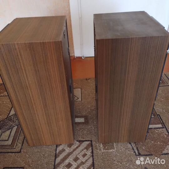 Колонки radiotehnika S-50B