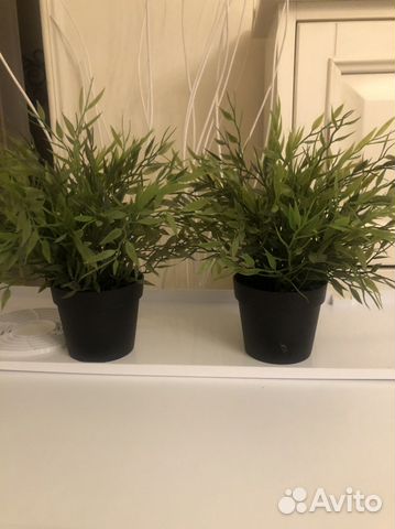 Цветок декоративный икеа