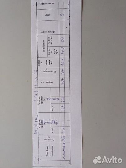 Пшеница 5 класс