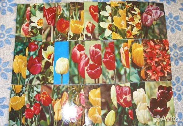 Набор цв. открыток 