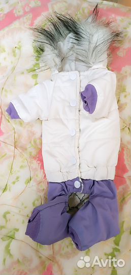 Одежда для собак мелких пород