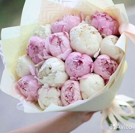 Пионы Букет пионов