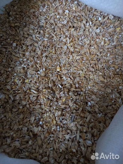 Комбикорм плющенный