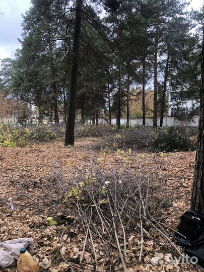 Измельчитель веток щепорез аренда